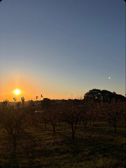 Fotografia autoral 2 - Campo ao entardecer